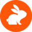CodeRabbit